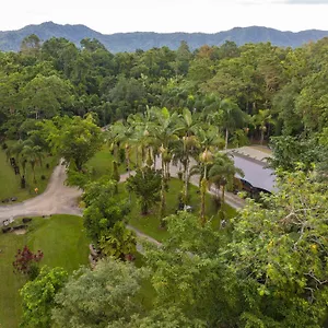 Daintree Siesta Lodge